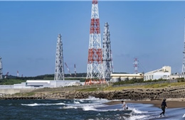 Nhật Bản tái khởi động nhà máy điện hạt nhân lớn nhất thế giới sau 15 năm