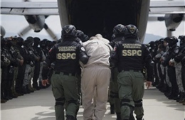 Mexico bàn giao 37 nghi phạm ma túy cho Mỹ sau cảnh báo can thiệp quân sự