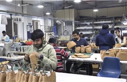 Ấn Độ - EU tìm điểm tựa thương mại giữa những bất định toàn cầu