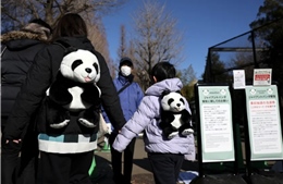 Người dân Nhật Bản chia tay những chú gấu trúc cuối cùng trước khi trao trả về Trung Quốc