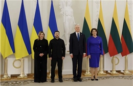 Litva viện trợ gần 100 máy phát điện cho Ukraine 