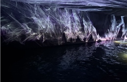 Khi dòng sông lên tiếng giữa lòng đô thị