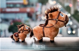 Mã Tiểu Dã - chú ngựa 'chữa lành' cho thế hệ trẻ 