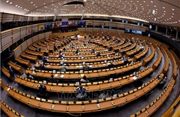 Nghị viện châu Âu lần đầu ra nghị quyết không đề cập 'chiến thắng quân sự' của Ukraine