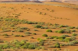 Sa mạc Empty Quarter: Nguồn năng lượng khổng lồ và 'nghĩa địa' của thiết bị bay không người lái