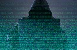 Thụy Điển điều tra nghi vấn tin tặc tấn công nền tảng chính phủ điện tử