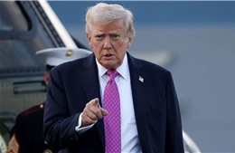 Tổng thống Trump tạm hoãn tấn công cơ sở năng lượng Iran, giá dầu giảm ngay 14%