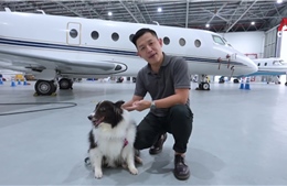 Bỏ ra hàng chục nghìn USD chỉ để bay cùng thú cưng