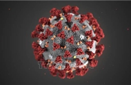Những điều cần biết về biến thể mới của virus gây bệnh COVID-19 ở 23 quốc gia