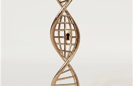 Liệu pháp chỉnh sửa gien cá nhân mở ra kỷ nguyên điều trị mới cho bệnh hiếm tại Mỹ