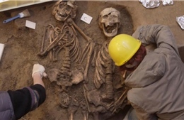 Nghiên cứu ADN cổ hé lộ tiến hóa mạnh mẽ của con người trong 10.000 năm qua
