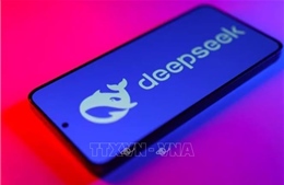 DeepSeek giảm giá sốc 75%, tăng nhiệt cuộc đua AI với Mỹ