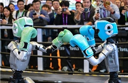 Các công ty robot Trung Quốc xếp hàng lên sàn chứng khoán giữa cơn sốt AI