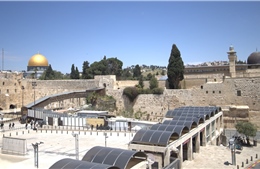 Liên đoàn Arab kêu gọi tăng cường hiện diện của người Palestine tại Đông Jerusalem