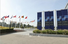 Cựu tổng tư lệnh quân đội Ukraine nêu lý do nước này khó gia nhập NATO