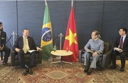 Đảng Cộng sản Việt Nam tăng cường hợp tác với các lực lượng chính trị Brasil