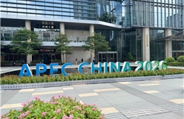 Hội nghị Cấp cao APEC: Nâng tầm ảnh hưởng khu vực của Thâm Quyến
