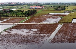 Chủ động thích ứng biến đổi khí hậu và phát triển nền kinh tế carbon thấp