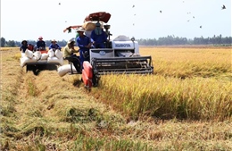 Ngành Nông nghiệp và Môi trường phải đổi mới mạnh mẽ, bắt kịp xu hướng toàn cầu