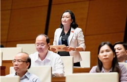 Đại biểu Quốc hội đề nghị giám sát tối cao nội dung thực hiện sắp xếp bộ máy