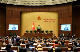 Báo cáo kết quả xác nhận 500 người trúng cử đủ tư cách đại biểu Quốc hội khóa XVI