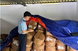 Quản lý thị trường Hà Nội tăng cường giám sát không gian mạng