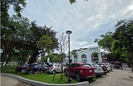 Vừa chi tiền tỷ chỉnh trang, vườn hoa bán đảo hồ Đống Đa đã bị ô tô bủa vây