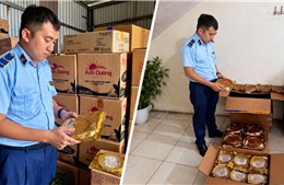 Hà Nội: Phát hiện bánh Trung thu, quần áo trẻ em nhập lậu trên địa bàn phường Việt Hưng