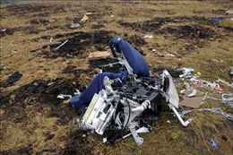 Tòa án Hà Lan dự kiến chưa đưa ra phán quyết vụ rơi máy bay MH17