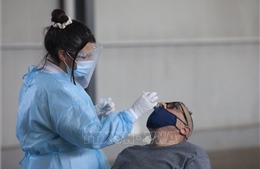 Dịch bệnh diễn biến phức tạp tại châu Âu