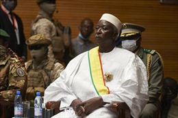 Cộng đồng quốc tế kêu gọi binh sĩ Mali trả tự do cho các nhà lãnh đạo lâm thời