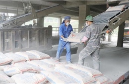 Philippines xem xét gia hạn biện pháp tự vệ với xi măng nhập khẩu từ Việt Nam