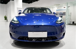 Tesla thu hồi gần 6.000 xe tại Mỹ để khắc phục lỗi phanh