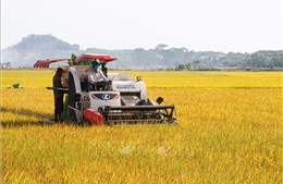 Truyền thông nước ngoài: Việt Nam nâng cao mức độ cơ giới hóa trong nông nghiệp