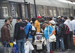 Đan Mạch thông qua dự luật chuyển người đăng ký tị nạn ra ngoài châu Âu