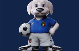 Chú chó chăn cừu Maremma - linh vật đồng hành cùng đội tuyển Italy