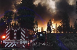 Cháy rừng tiếp tục lan rộng tại miền Tây nước Mỹ