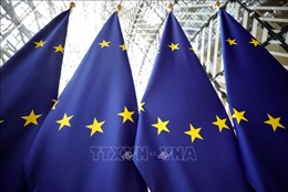 Đoàn vận động viên Slovenia được đề xuất mang theo cả lá cờ của EU