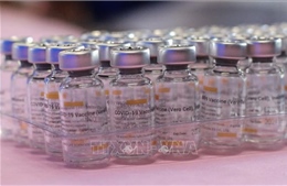 Indonesia tiếp nhận thêm 8 triệu liều vaccine Sinovac