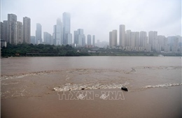 Lụt tại Trùng Khánh (Trung Quốc) và cảnh báo mưa bão trên cả nước 
