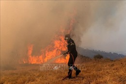 Hy Lạp ghi nhận thêm nhiều đám cháy rừng gần Athens