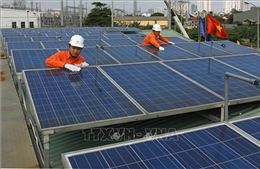 Việt Nam được đánh giá sẽ trở thành &#39;cường quốc năng lượng xanh&#39; ở châu Á