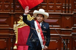 Chính phủ Peru cảnh báo về âm mưu phế truất tân Tổng thống Castillo