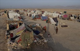 LHQ kêu gọi các nước không trục xuất người tị nạn Afghanistan