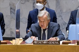 Tổng thư ký Liên hợp quốc lên án vụ tấn công khủng bố ở Kabul