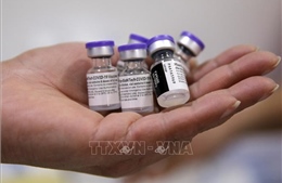 Israel: Mũi tiêm vaccine thứ ba của Pfizer có phản ứng phụ tương tự mũi thứ hai