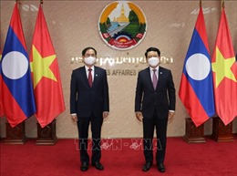 Bộ trưởng Bộ Ngoại giao Bùi Thanh Sơn gặp làm việc với Bộ trưởng Ngoại giao Lào