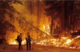 Vụ cháy rừng lớn thứ hai trong lịch sử bang California
