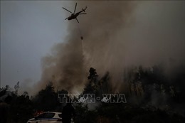 Hàng nghìn người sơ tán khi cháy rừng tàn phá đảo Evia của Hy Lạp
