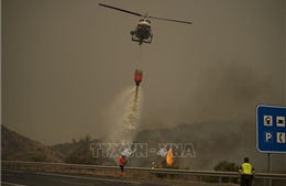 Tây Ban Nha đã kiểm soát được các đám cháy rừng kéo dài 7 ngày qua